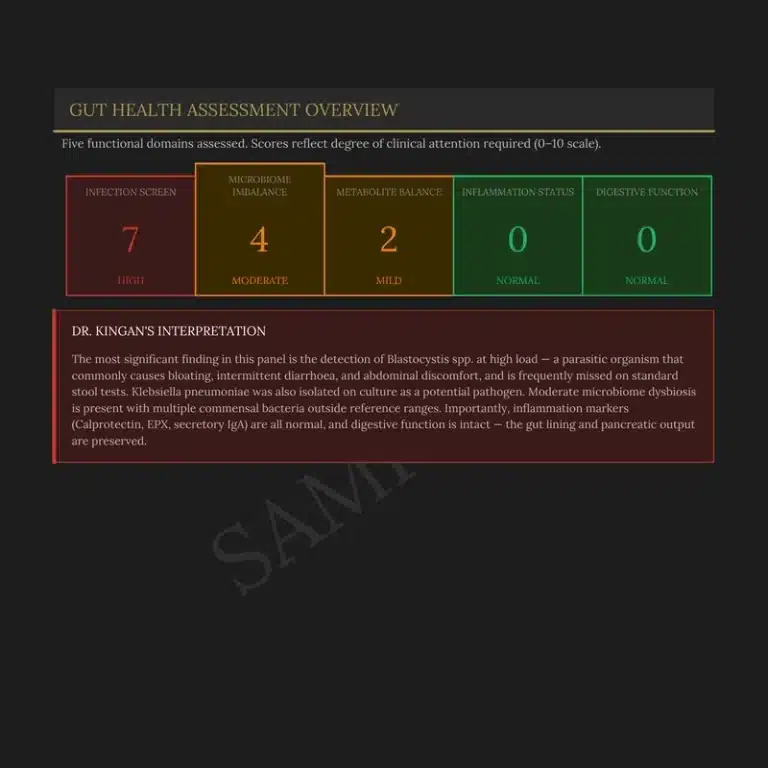 Sapere Health gut health stool analysis showing five functional domain scores including infection screen, microbiome imbalance, metabolite balance, inflammation and digestive function